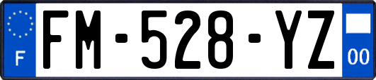FM-528-YZ