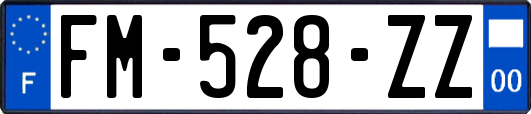 FM-528-ZZ