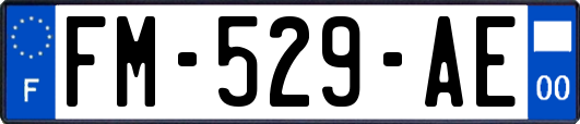 FM-529-AE