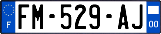 FM-529-AJ