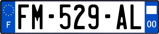 FM-529-AL