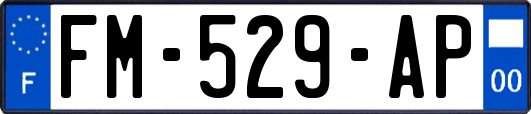 FM-529-AP