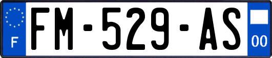 FM-529-AS