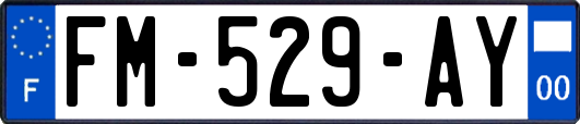 FM-529-AY