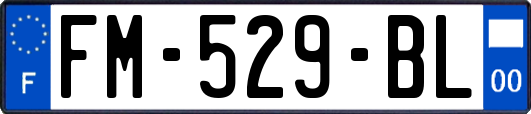 FM-529-BL