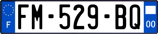 FM-529-BQ