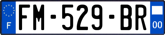 FM-529-BR