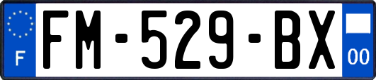 FM-529-BX