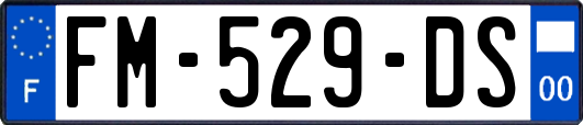 FM-529-DS