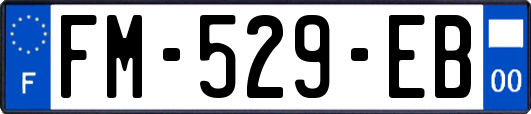 FM-529-EB