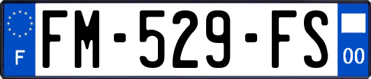 FM-529-FS