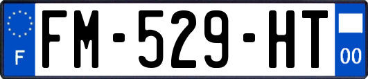 FM-529-HT