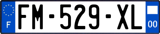 FM-529-XL