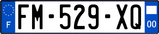 FM-529-XQ