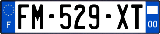 FM-529-XT