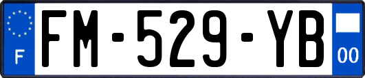 FM-529-YB