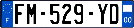 FM-529-YD