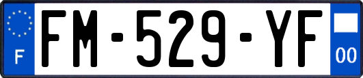 FM-529-YF