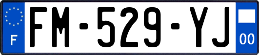 FM-529-YJ