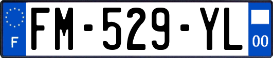 FM-529-YL