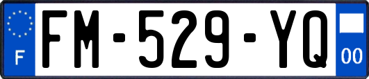 FM-529-YQ