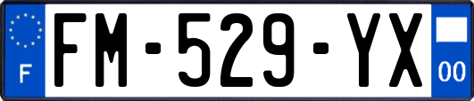FM-529-YX