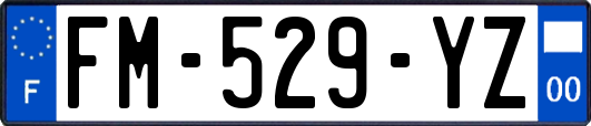 FM-529-YZ