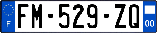 FM-529-ZQ