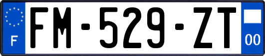 FM-529-ZT