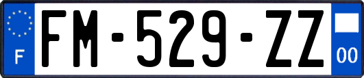 FM-529-ZZ