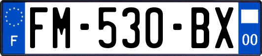 FM-530-BX