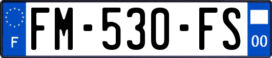 FM-530-FS