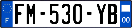 FM-530-YB