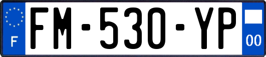 FM-530-YP