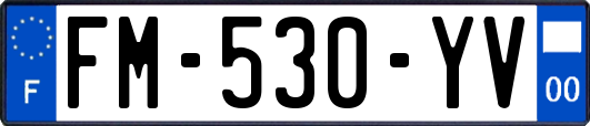 FM-530-YV