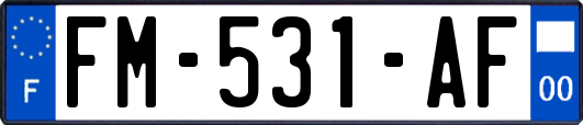 FM-531-AF