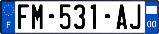 FM-531-AJ