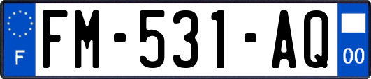 FM-531-AQ