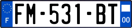 FM-531-BT