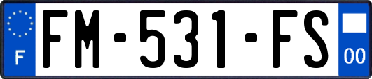 FM-531-FS