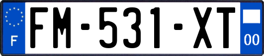 FM-531-XT