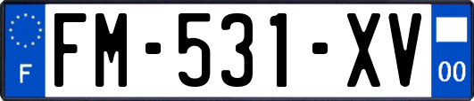 FM-531-XV