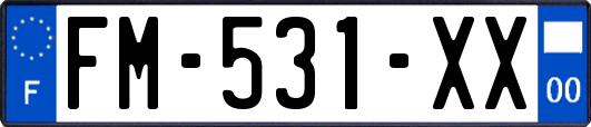 FM-531-XX
