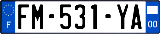 FM-531-YA