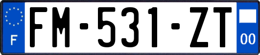 FM-531-ZT
