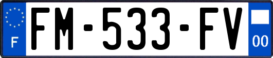 FM-533-FV