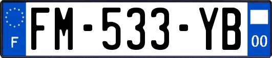 FM-533-YB