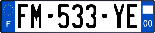 FM-533-YE