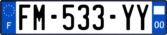 FM-533-YY