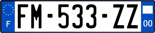 FM-533-ZZ